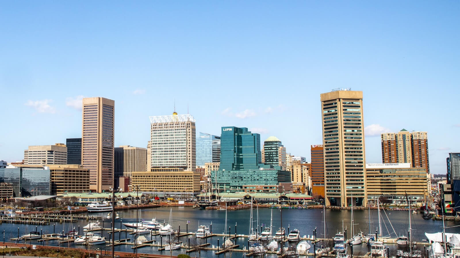 A photo of the buildings in Baltimore's skyline.